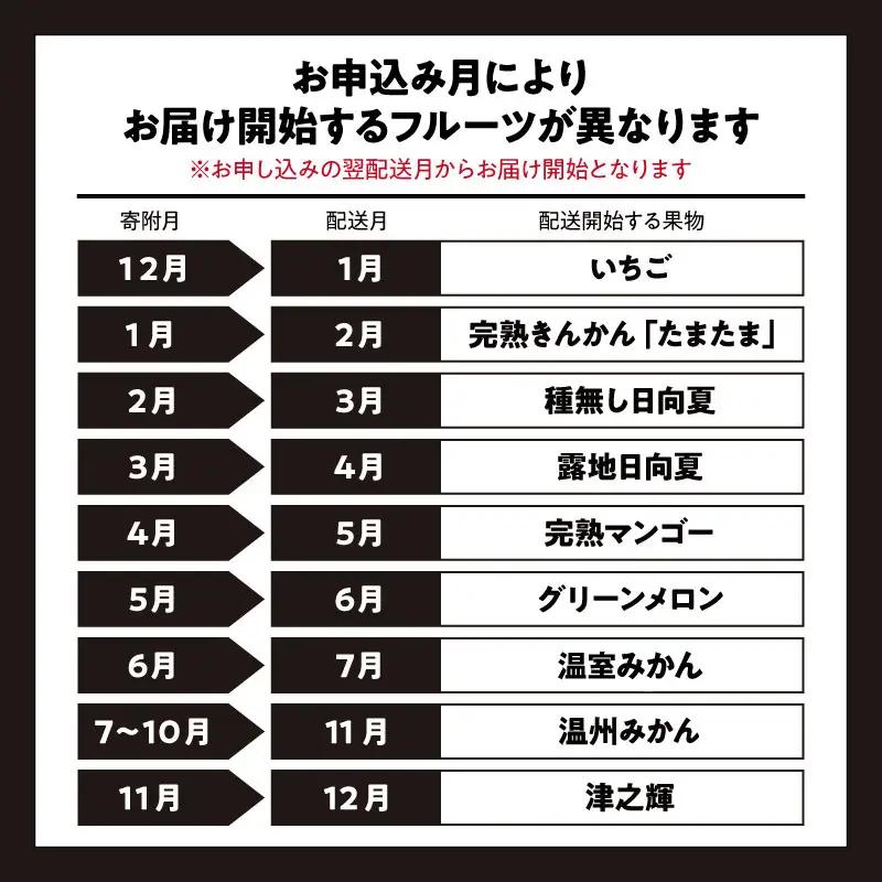 フルーツ 定期便 フルーツ[青果店厳選 くだもの 果物 Vol.2 全9回]