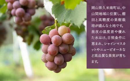 【種なし】 岡山県産 クイーンニーナ 1kg箱（2~3房入り） 【2026年8月下旬-9月上旬発送予定】 ／ ぶどう ブドウ 葡萄 大粒 種なし 種無し フルーツ 果物 くだもの 果実
