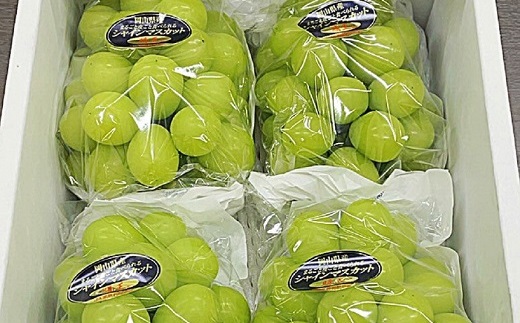 シャインマスカット「晴王」4房 (1房480g以上)