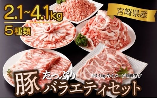 
            KU405《発送時期が選べる》 2.1kg~4.1kg！ 豚バラエティーセット 【宮崎県産】
          