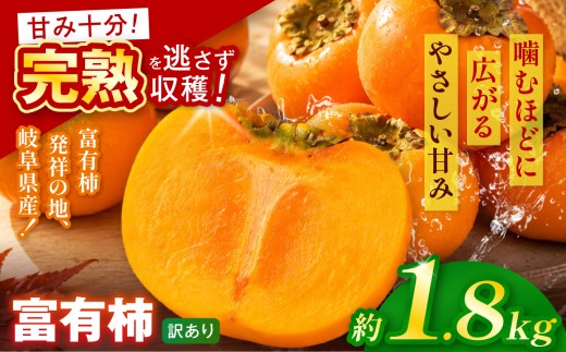 【訳あり品】先行予約 令和8年11月中旬順次発送 富有柿 ( 8個 ／ 1.8kg ) 1箱 |【お得にたっぷり楽しむ】 甘みと食感を存分に味わえる 柿 富有柿 フルーツ 果物 完熟 国産 季節の果物 家庭用 自宅用 訳 あり わけあり 加工用 料理用 大容量 岐阜県 本巣郡 北方町