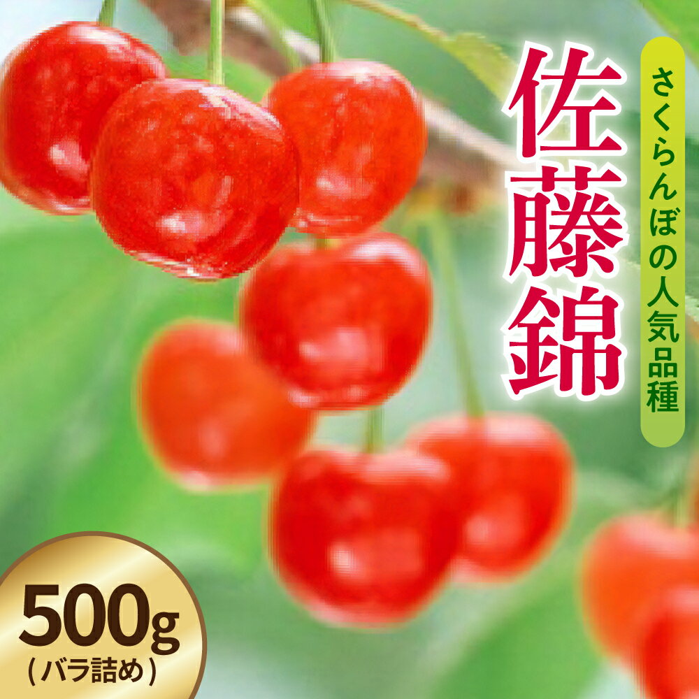 【ふるさと納税】【先行予約】 令和8年産 さくらんぼ 佐藤錦 500g ( バラ詰め ) 2026年6月中旬～下旬頃お届け予定