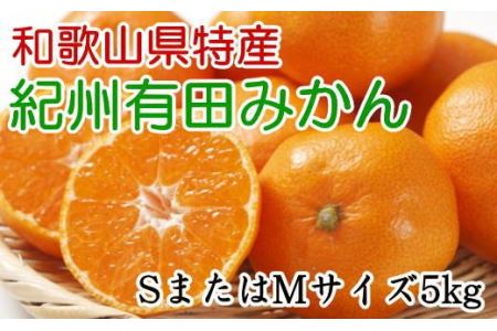 [秀品]和歌山有田みかん　5kg(SサイズまたはMサイズのいずれか)   先行予約 ※2026年11月中旬～2027年1月中旬頃順次発送予定（お届け日指定不可）【tec833B】