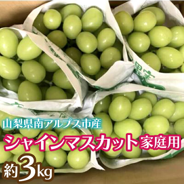 【ふるさと納税】＜2026年発送先行予約＞シャインマスカット (新鮮直送・家庭用3kg) ふるさと納税 シャインマスカット マスカット 葡萄 ご家庭用 果物 フルーツ おすすめ 山梨県 南アルプス市 送料無料 ALPCZ015