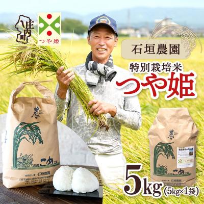 ふるさと納税 庄内町 石垣農園の特別栽培米つや姫5kg 令和8年産 2026年産 ブランド米
