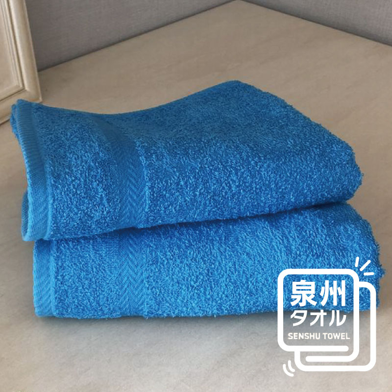 コーマカラーフェイスタオル 2枚（スマートブルー) 【泉州タオル 国産 吸水 薄手 普段使い 無地 シンプル 日用品】 005A633