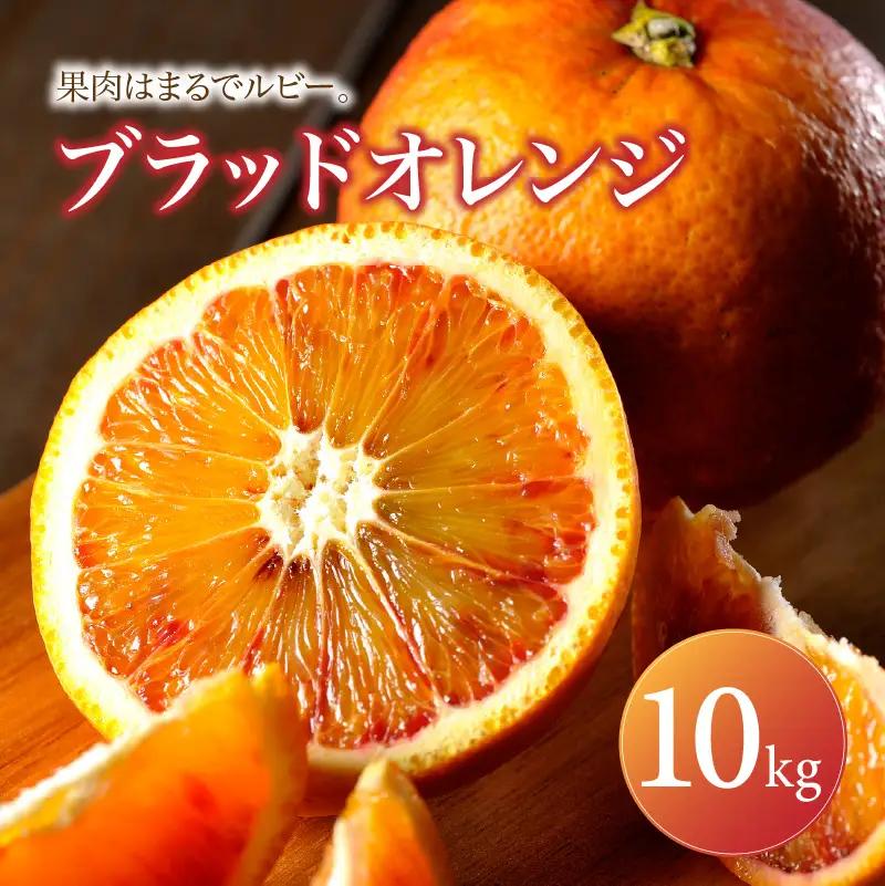 ブラッドオレンジ 家庭用 10kg 【2027年2月下旬頃から順次発送】 | みかん ミカン mikan 蜜柑 訳ありフルーツ 柑橘 果物 おすすめ お勧め お取り寄せ ギフト 愛媛県 松山市 【MKN040】