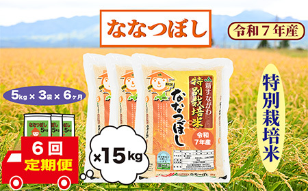 【定期便6回】北海道奈井江町　特別栽培米　ななつぼし　15kg