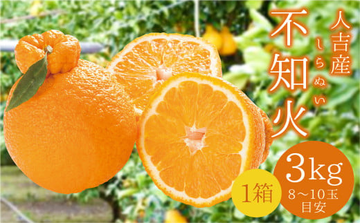 【先行予約】 人吉産 不知火（しらぬい）3kg フルーツ 果物 くだもの 柑橘 デコポン でこぽん お取り寄せ【2027年1月上旬～2月上旬発送予定】