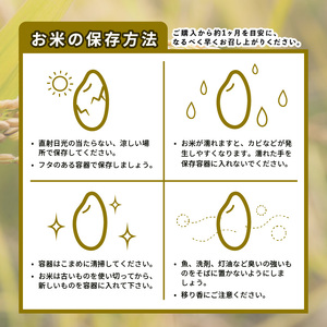 米 定期便 5kg 4回 きぬひかり 新米 令和6年度産 精米済 白米 卵かけご飯 おにぎり 美味しい おすすめ 徳島県 阿波市[