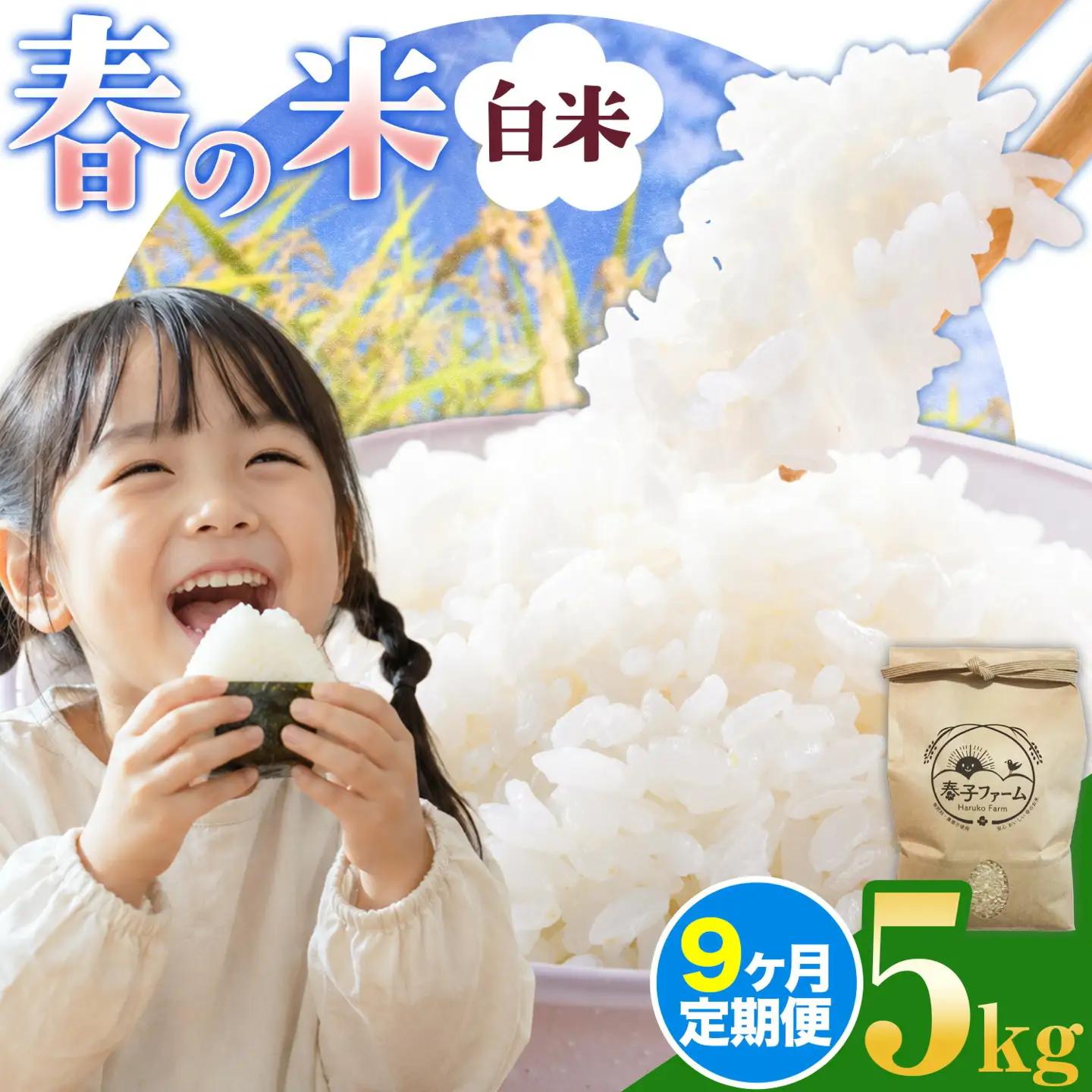 米 春の米 白米 5kg 9ヶ月 定期便 春子ファーム 米