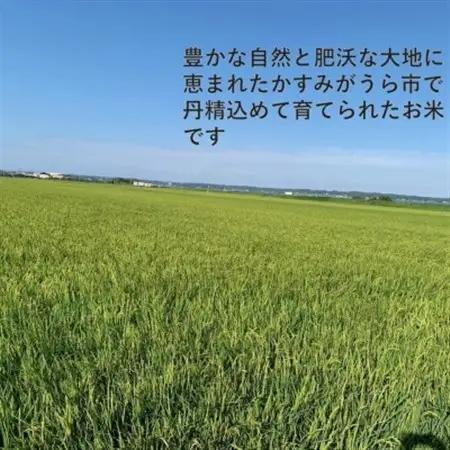 【毎月定期便】茨城県かすみがうら産　精米　コシヒカリ10kg全6回【4076525】