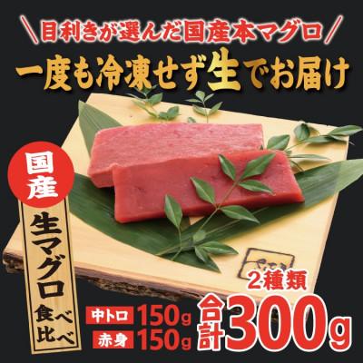 ふるさと納税 越前町 国産生本マグロ 中トロと赤身 2種セット 合計300g |  | 01