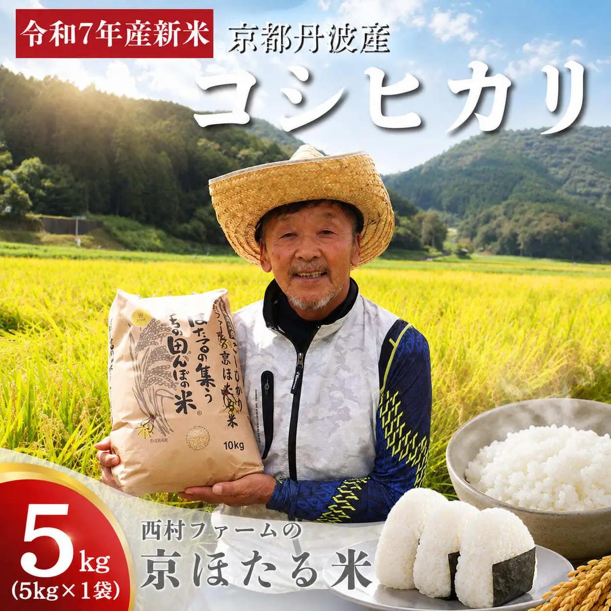 コシヒカリ 5kg 米 お米 京都丹波産 コシヒカリ