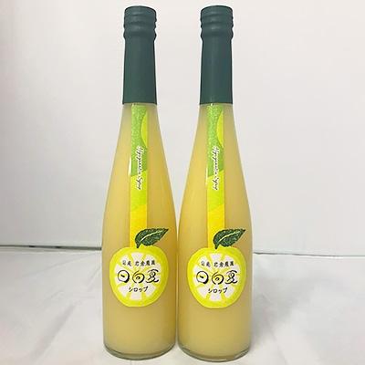 ふるさと納税 日南市 日向夏シロップ　500ml　2本