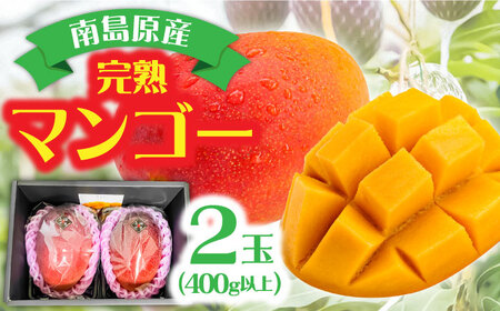 【2026年7月-発送】南島原産完熟マンゴー２玉 / 南島原市 / ながいけ [SCH064]