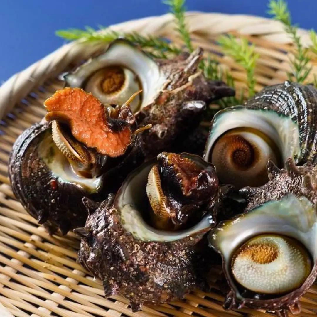 サザエ 2kg | 天然 新潟県 佐渡市サザエ