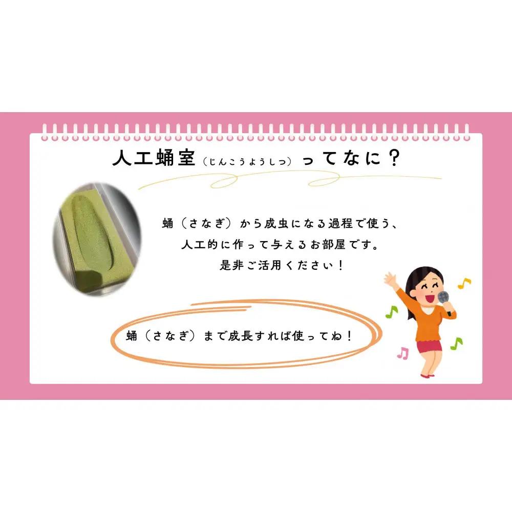 【虹色Farm】ヘラクレスオオカブト 幼虫2匹(ペア)飼育キット3点付(育て方解説書・菌床マット・人工蛹室)｜京都 ヘラクレス 人気