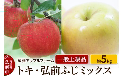 りんご トキ・ひろさきふじミックス 一般用上級品 約5kg