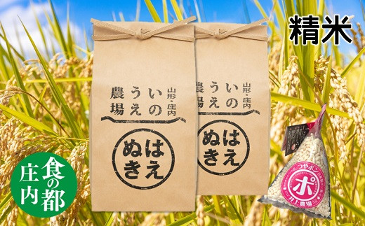 食の都庄内　【令和7年産・精米】井上農場の特別栽培米はえぬき5kg×2袋+つやポン《井上農場》