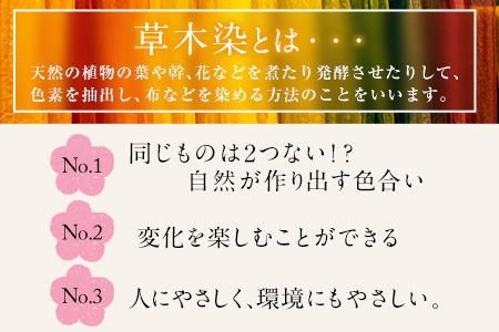 草木染やわらか木綿ストール【青系】選べる4COLOR！ 池田染織工房《60日以内に出荷予定(土日祝除く)》 