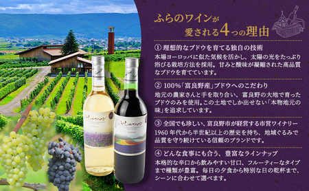 ワイン ふらのワイン ふらのスパークリングワイン　ぺルル・ブランシュ　750ml×1本 酒 お酒 ぶどう ブドウ スパークリング 北海道 富良野市