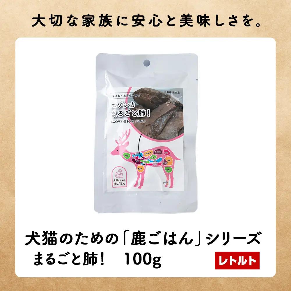 【定期便4回】まるごと肺 10パック