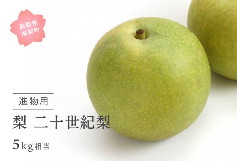 二十世紀梨（進物用5kg箱）2025年8月下旬出荷予定＜数量限定＞