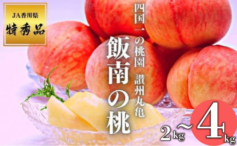 
            【2025年早期予約】特秀品 桃 約2～4kg（目安:6玉～14玉) 讃州丸亀 飯南の桃 贈答箱 もも モモ 果物 くだもの 果実 フルーツ 旬 旬の果物 デザート スイーツ おやつ ゼリー ジュース 人気果物 人気フルーツ ランキング 香川 丸亀
          