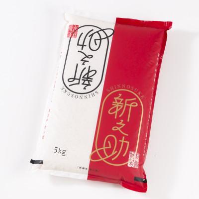 ふるさと納税 村上市 新米【令和7年産米】岩船産新之助 5kg 1013002