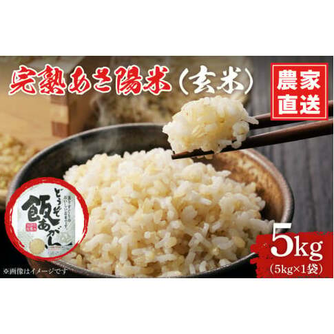 【生産者応援】 完熟あさ陽米 (玄米) 5kg ひとめぼれ 特別栽培米 令和7年産 生産農家直送 米 産地直送 こめ 玄米 ご飯 あさ陽米 岩手県 特別栽培 農家直送 事業者応援 生産者支援 日常使い (CP031)
