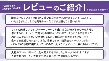 【数量限定】 冷凍ブルーベリー2kg 国産 [AD003tu]
