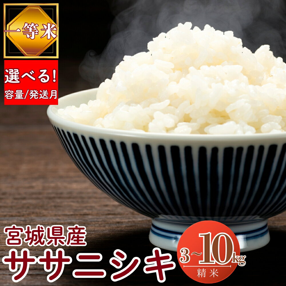 【ふるさと納税】 【令和7年産米先行予約】【 選べる!容量＆発送月】令和7年産米 宮城県産 ササニシキ 3kg/5kg/10kg 一等米 環境保全米 単一原料米 米 ささにしき ササニシキ 宮城県産 東松島市 精米 白米 お米 こめ JAいしのまき