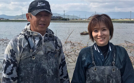 【先行予約】【3回定期便】田島屋れんこん 約2kg/回（総計約6kg）泥付き【田島屋れんこん】 /新鮮なれんこんを産地直送！ れんこん 蓮根 レンコン 佐賀県産 白石町産れんこん 泥付きれんこん れん