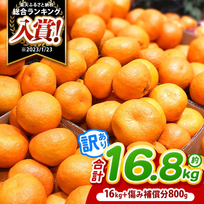 【ふるさと納税】 訳あり 熊本県産 温州 みかん 約 16.8kg （16kg+傷み補償分800g） | 果物 くだもの フルーツ 柑橘 柑橘類 みかん 温州 家庭用 18キロ 大量 みかん 玉名 熊本 送料無料 不揃い 傷 大小混合 自宅用