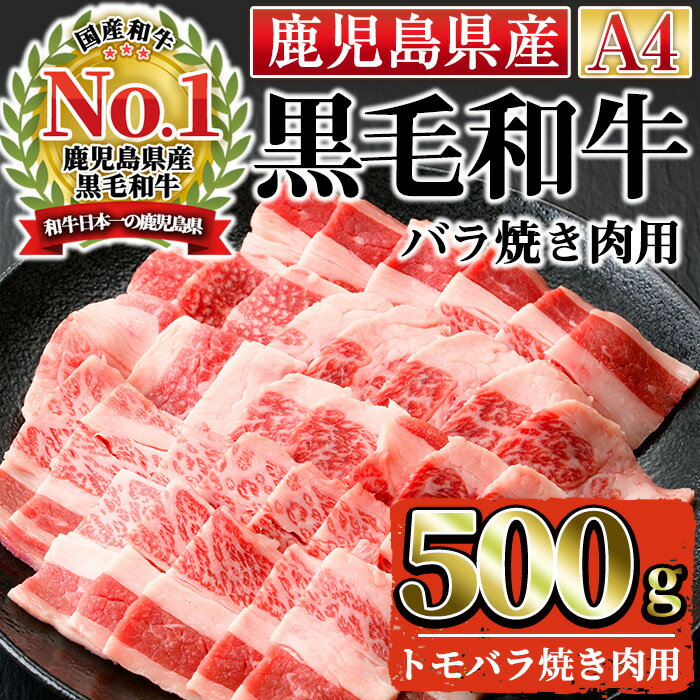 【ふるさと納税】＜A4ランク＞鹿児島県産黒毛和牛バラ焼肉用(500g)国産 九州産 牛肉 黒毛和牛 和牛 ばら 肉 BBQ バーベキュー おかず 冷凍【株式会社Meat you】