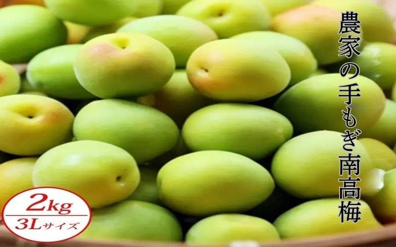 
                  【青梅】農家の手もぎ南高梅2kg（3Lサイズ） sakachu004A
                