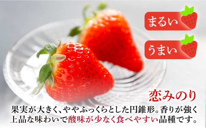 冷凍いちご 1kg 『ゆめ恋フローズンセット』《壱岐市》【蒼花】 産地直送 冷凍配送 いちご 苺 フルーツ フローズン 朝食 ゆめのか 恋みのり [JEO005]