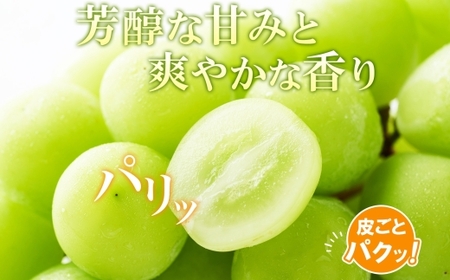 【2026年発送★先行予約】山梨県 笛吹市 シャインマスカット 1房 約700g 177-6-005