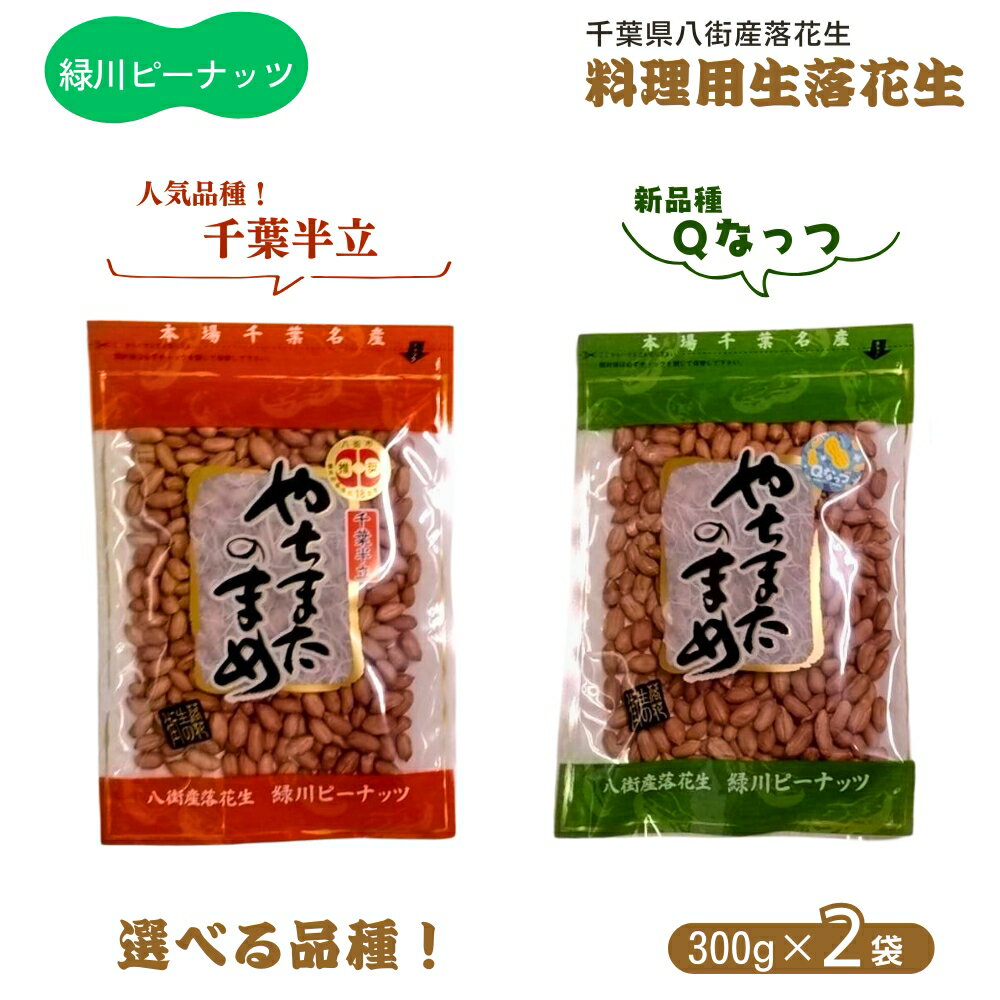 【ふるさと納税】生落花生 料理用 調理用落花生 ＼選べる美味しさ 千葉半立 Qなっつ／千葉県八街市産 生落花生（千葉半立 Qなっつ）お料理に 300g×2 ピーナツ ピーナッツ おつまみ おやつ クッキー ケーキ おすすめ 人気 酒 ビール 健康 千葉 八街 千葉県産 八街市産 国産