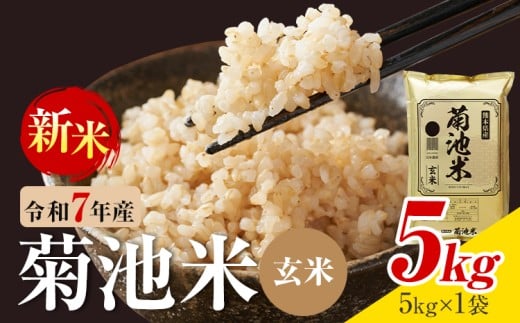 令和7年産 熊本県産 菊池米 玄米 5kg 1袋5kg 株式会社くまもとごはん 《30日以内に出荷予定(土日祝除く)》米 お米 令和7年産 九州産 熊本県産  送料無料