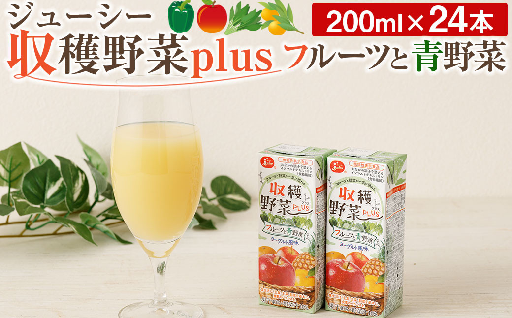 ジューシー収穫野菜plusフルーツと青野菜