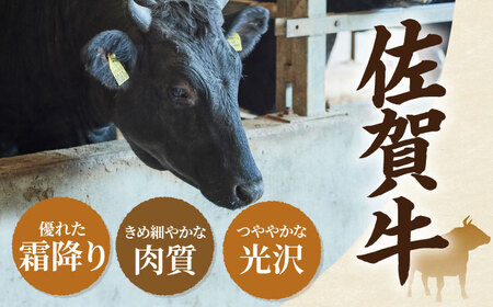 【牧場直送】【12回定期便】佐賀県産和牛 贅沢 1頭まるごと定期便 ゴールドコース【有限会社セントラル牧場】[IAH090]