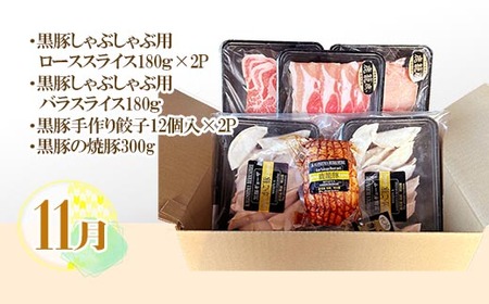 【発送月固定定期便】鹿児島県産黒豚三昧 EE0-0005 全4回_肉 しゃぶしゃぶ 牛肉 牛しゃぶ  肉  牛肉   肉 しゃぶしゃぶ 豚肉 豚しゃぶ  肉 ハンバーグ 豚肉   肉 ソーセージ・ウイ