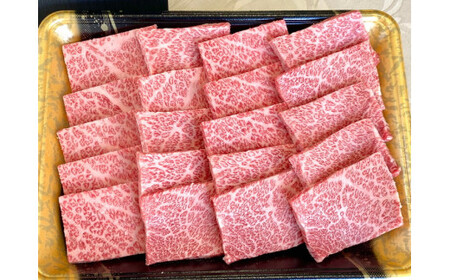 訳あり 京都産黒毛和牛 特選 A5ランク 焼肉 用 500g(通常450g+50g) 京の肉 ひら山 厳選《緊急支援 和牛 牛肉 京都肉 国産 丹波産 冷凍 ふるさと納税牛肉》※2024年3月中に発送