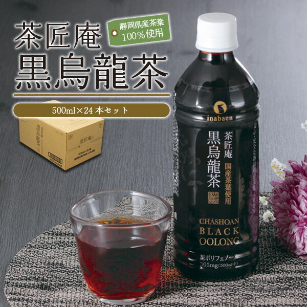 【ふるさと納税】 静岡県産 黒烏龍茶 500ml × 24本 ペットボトル 国産 ポリフェノール配合 いなば園 ウーロン茶 黒ウーロン茶 お茶 健康茶 ダイエット 抗酸化 カテキン 静岡茶 緑茶 ノンカフェイン 牧之原市 静岡県