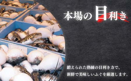 【配送指定日必須】国産 とらふぐ 料理 セット 4人前 ふぐ松前付 冷蔵 下関 山口 ふぐ特集 秋 冬 KA0003