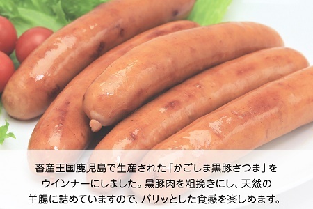 052-26 【お中元に】「かごしま黒豚さつま」ウィンナー1.2kg