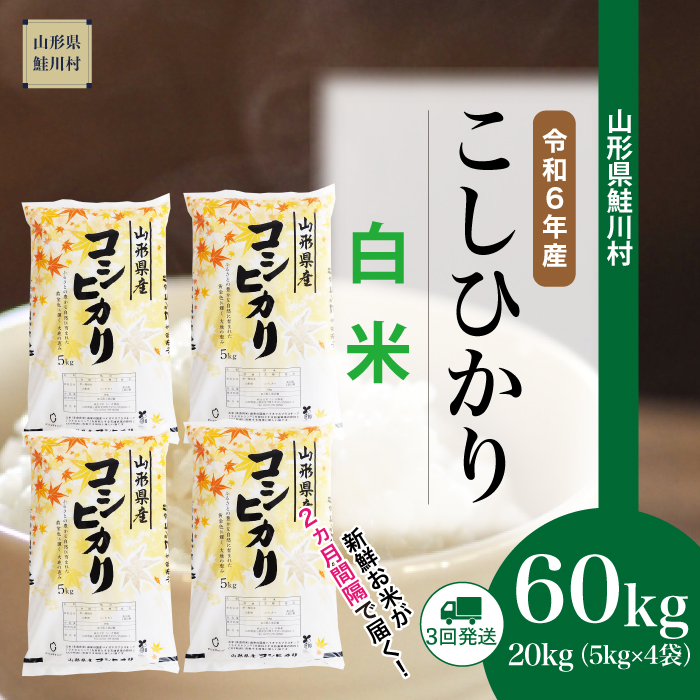 ＜令和6年産米 配送時期指定できます！＞　コシヒカリ【白米】60kg定期便(20kg×3回)　鮭川村