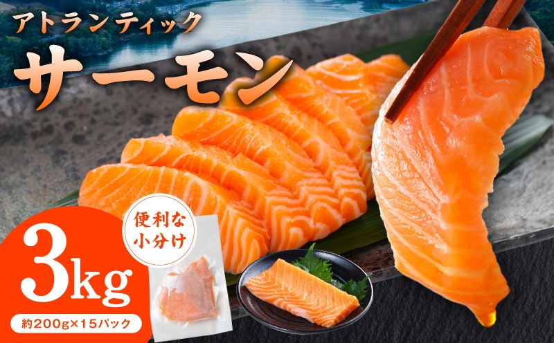 G3554 アトランティックサーモン 3kg【小分け 200g×15P 柵切り 刺身 魚介 海鮮 さーもん 生食】